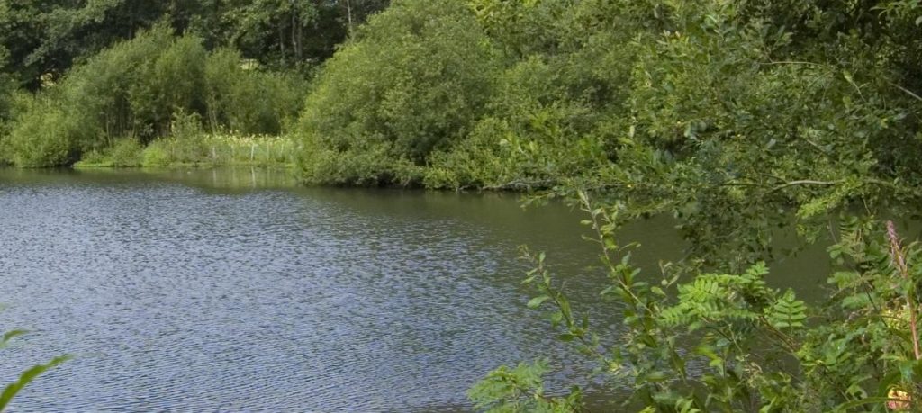 Adel Dam Nature Reserve