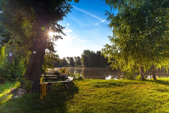 5 Best Parks in Newcastle