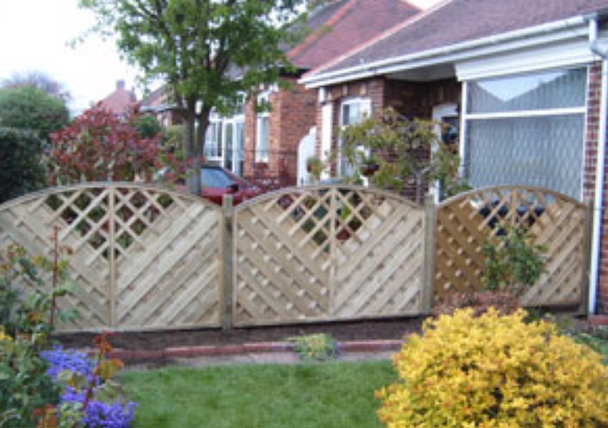 Alpine Fencing