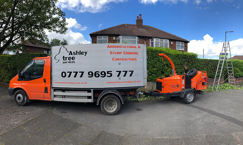 Ashley Tree Services