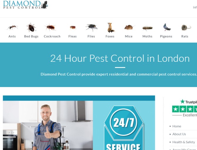 Diamond Pest Control UK