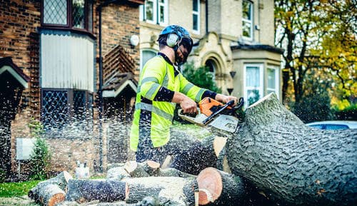 Elm House Tree Services Manchester