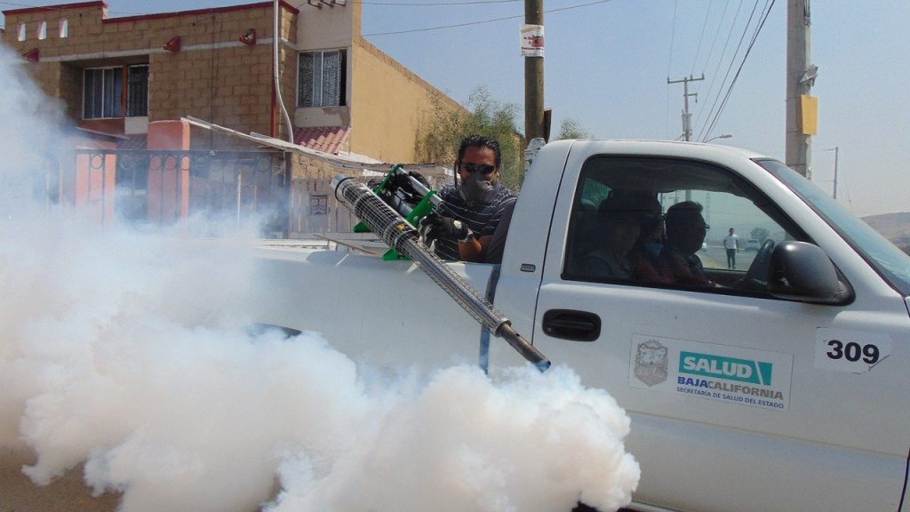 5 Best Exterminators in Birmingham