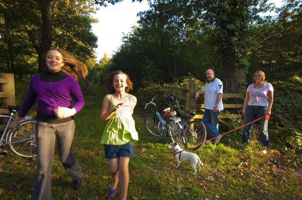 Mersey Forest