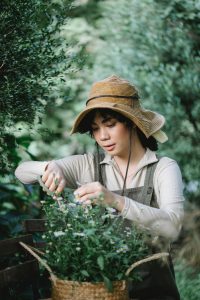 5 Best Gardeners in Newcastle