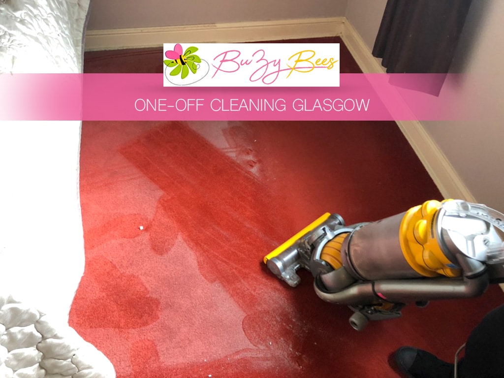 BuZy Bees Cleaning Services