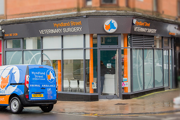 Hyndland Street Veterinary Surgery