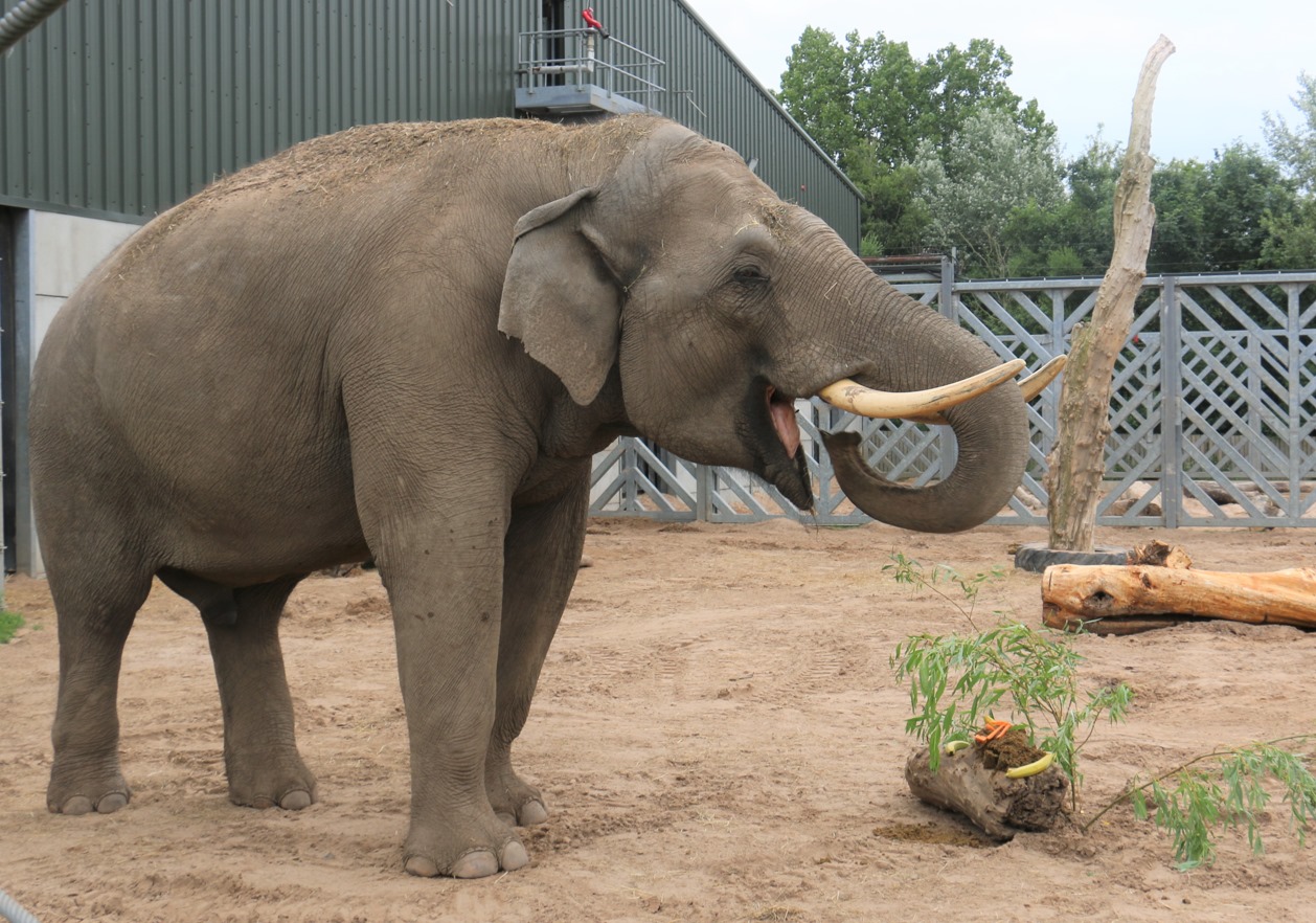 Blackpool Zoo