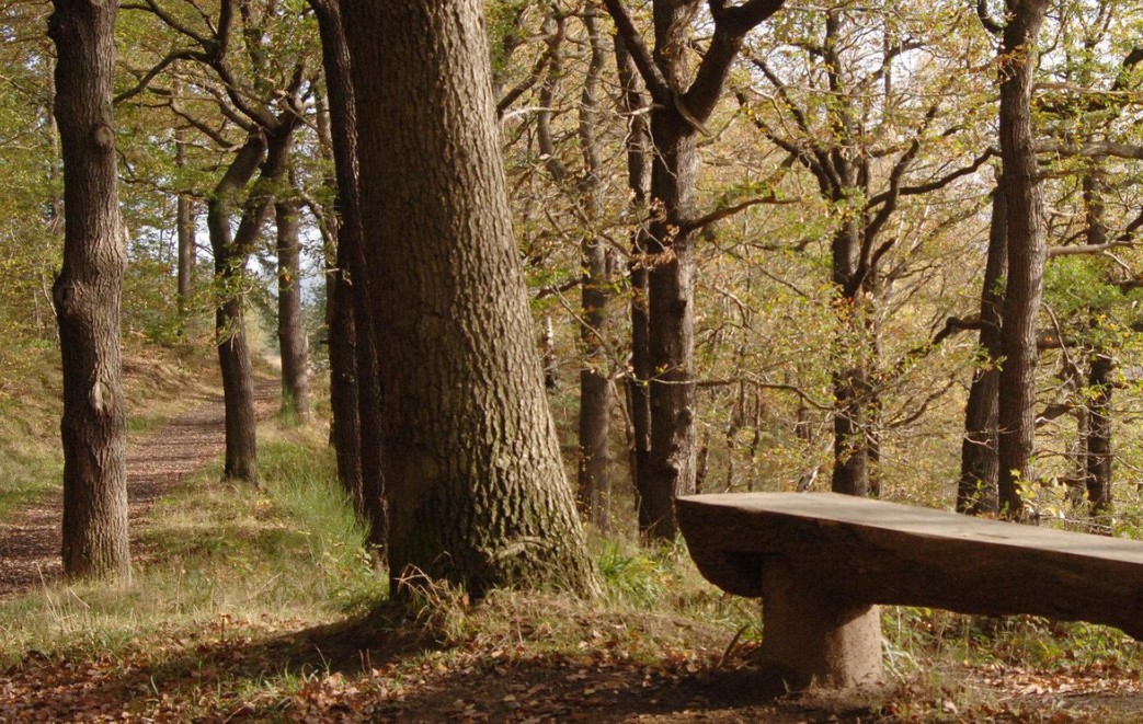 Chopwell Woodland Park