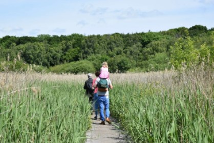 Gosforth Nature Reserve