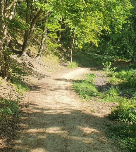 Post Hill Nature Trail